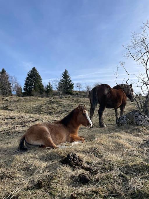 Chic & Champetre Au Coeur Du Haut-Jura Lamoura Eksteriør billede